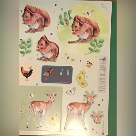 Nature Themed Card and Paper Crafting Kit - Picture 4 of 10